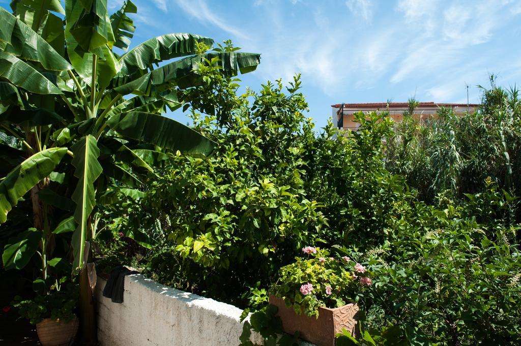 Petalídhion Studios Margarita מראה חיצוני תמונה