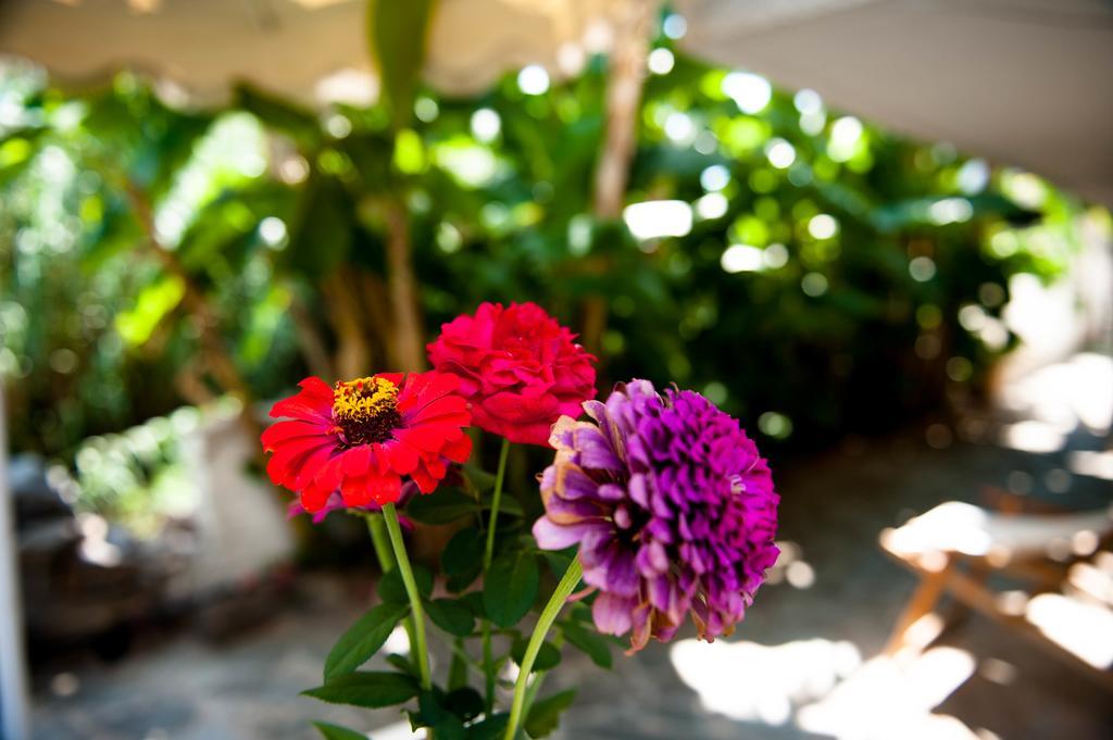 Petalídhion Studios Margarita מראה חיצוני תמונה