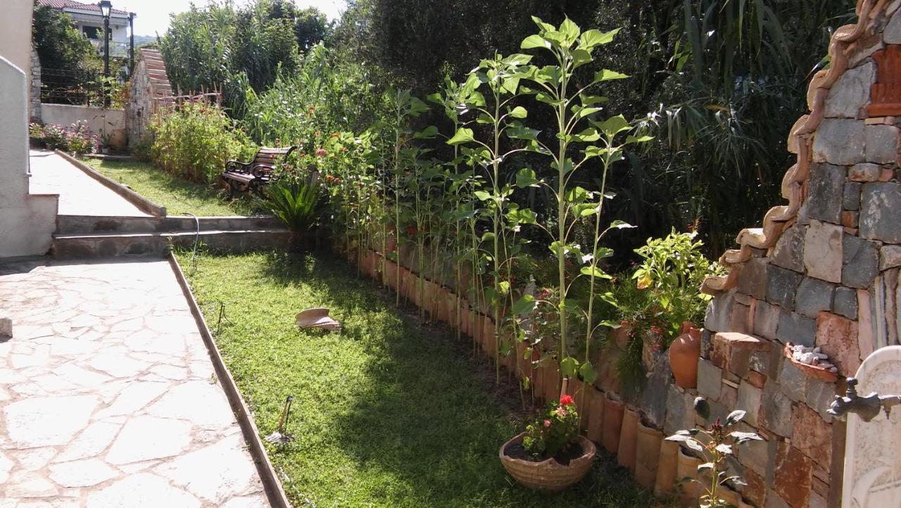 Petalídhion Studios Margarita מראה חיצוני תמונה
